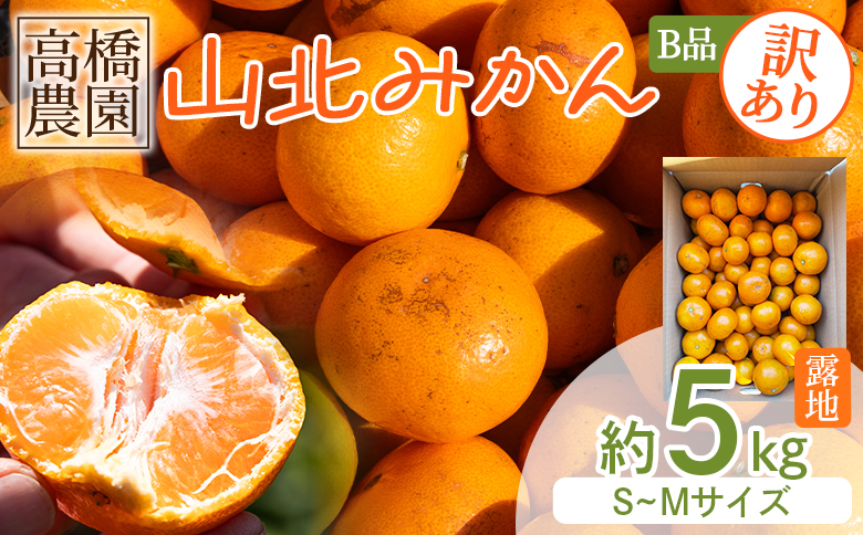 【2026年11月中旬より順次配送】高橋農園【訳あり】山北みかん 露地(Ｓ～Ｍ)Ｂ品 5kg th-0026