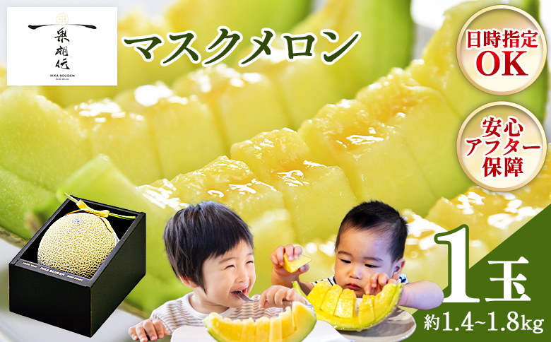 メロン マスクメロン1玉入り1.4kg～1.8kg 【株式会社篤農（高知県香南市）】[tn-0010] 通常配送 1玉【贈答用】