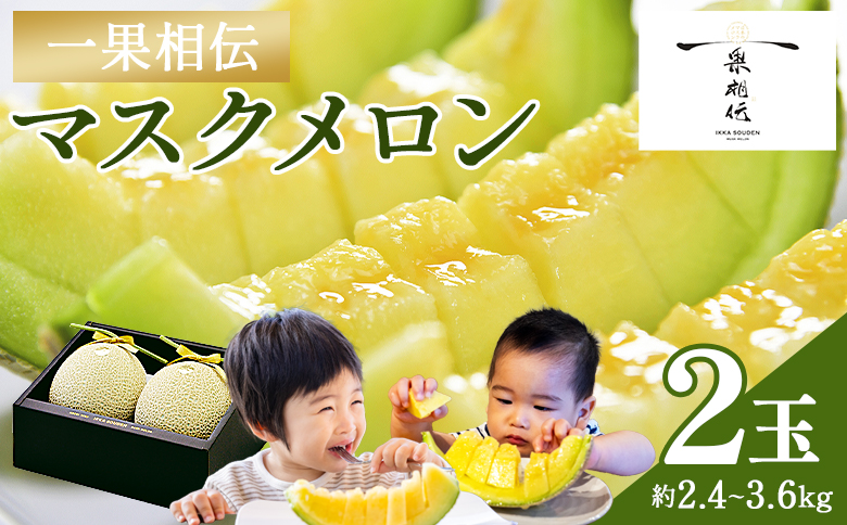 【2玉】メロン マスクメロン2玉入り2.4kg～3.6kg 【株式会社篤農（高知県香南市）】[tn-0012] 通常配送 2玉【贈答用】