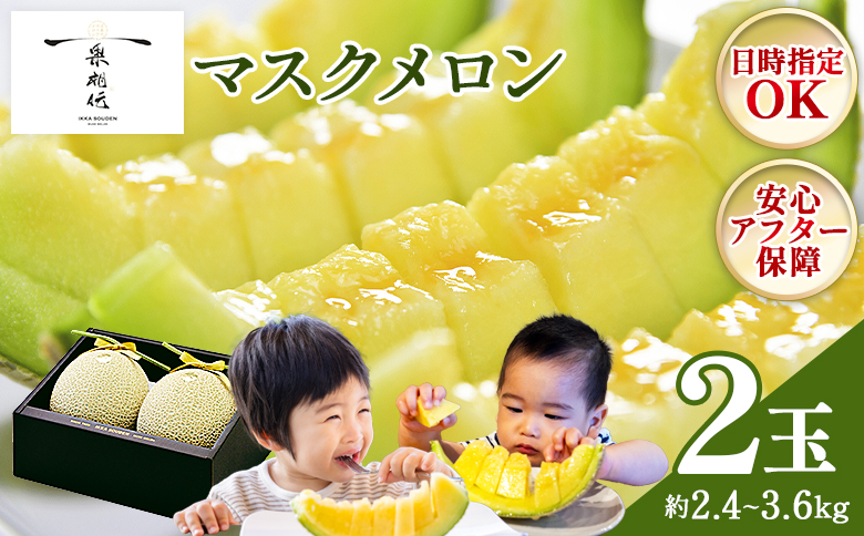 【2玉】メロン マスクメロン2玉入り2.4kg～3.6kg 【株式会社篤農（高知県香南市）】[tn-0012] 通常配送 2玉【贈答用】