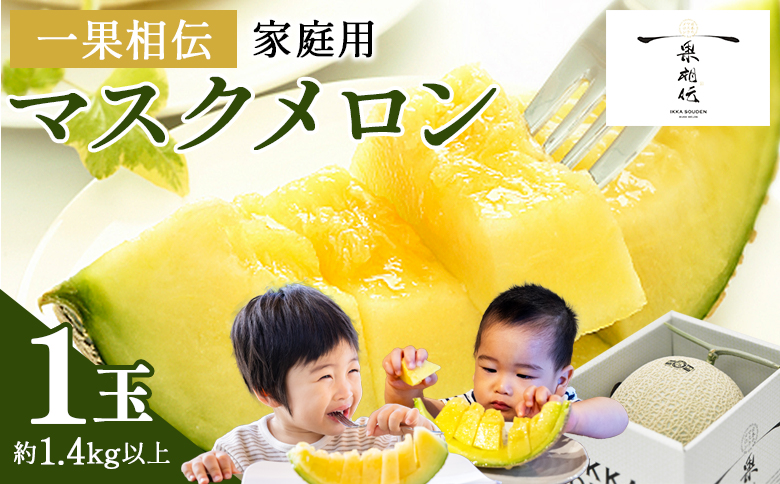 【発送開始】マスクメロン 家庭用 1玉入り 1.4kg以上 青肉メロン 糖度 通常配送 1玉【家庭用】