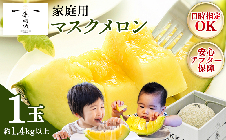 【発送開始】マスクメロン 家庭用 1玉入り 1.4kg以上 青肉メロン 糖度 通常配送 1玉【家庭用】