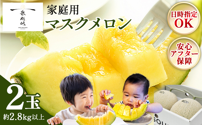 【発送開始】メロン(家庭用) マスクメロン2玉入り 2.8kg以上 通常配送 2玉【家庭用】