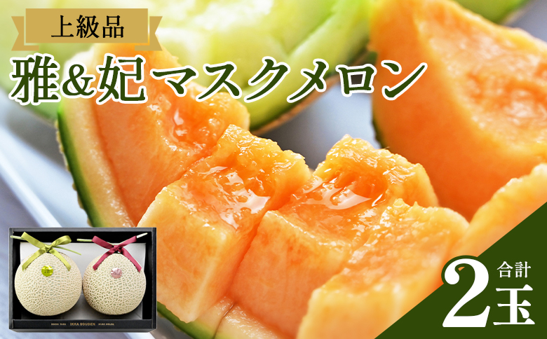 【先行予約受付】メロン 赤肉 青肉 ２玉 高級 上級品 雅&妃 マスクメロン 各１玉 - 青肉メロン 赤肉メロン セット めろん フルーツ くだもの 果物 完熟 おやつ 化粧箱入り ご褒美 果肉 果汁 ジューシー 果実 甘い 糖度 産地直送 篤農 tn-0027