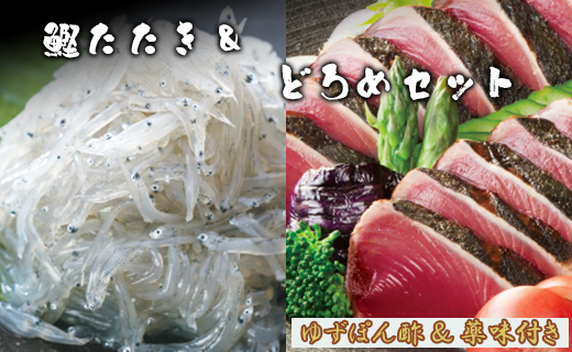 土佐料理司 鰹たたき・どろめセット tr-0015