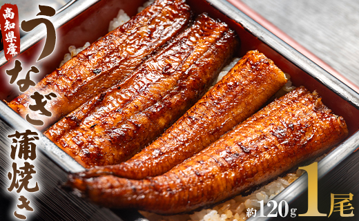 うなぎ蒲焼き 1尾(約120g)(無頭) うなぎ屋きた本  鰻 ウナギ スタミナ 晩ご飯 おつまみ 丼ぶり 魚 ギフト お取り寄せグルメ プレゼント 海の幸 ギフト うなぎ屋きた本 高知県 香南市 冷凍 un-0013
