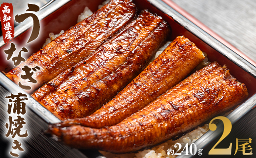 うなぎ蒲焼き 2尾(合計約240g)(無頭)  - 送料無料 鰻 ウナギ 晩御飯 おかず おつまみ アテ スタミナ プレゼント ギフト 贈答 丑の日 父の日 敬老の日 うなぎ屋きた本 高知県 香南市 冷凍 un-0014