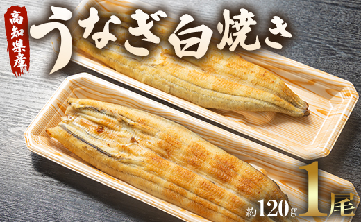 うなぎ白焼き 1尾(約120g)(無頭) - 送料無料 鰻 ウナギ 魚介 山椒塩 惣菜 おかず のし ギフト 贈答 贈り物 プレゼント 丑の日 国産 うなぎ屋きた本 高知県 香南市 冷凍 un-0016