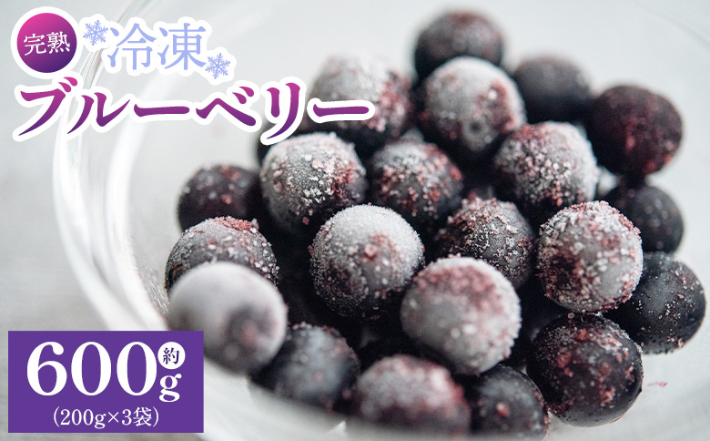 完熟 冷凍ブルーベリー 約600g(200g×3) yg-0027