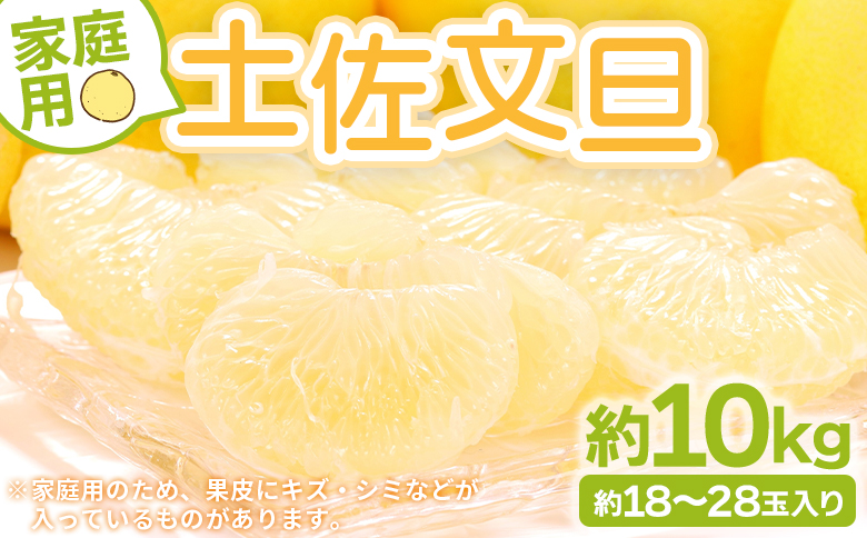 【先行予約】土佐文旦 家庭用 10kg 大小混合(L～3L) 約18～28玉入り yk-0052