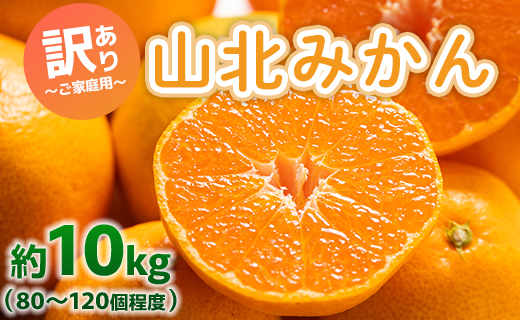 訳あり 山北みかん ご家庭用 約10kg（80～120個程度） 山北みらい - 果物 フルーツ 柑橘類 温州みかん ミカン 蜜柑 甘い おいしい 美味しい 高知県 香南市 yk-0059