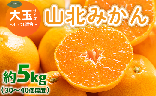 山北みかん 大玉サイズ L・2L混合 約5kg（30～40個程度） 山北みらい - 果物 フルーツ 柑橘類 温州みかん ミカン 蜜柑 甘い おいしい 美味しい 高知県 香南市 yk-0061