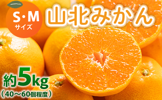 山北みかん S・Mサイズ 約5kg（40～60個程度） 山北みらい 秀品 - 果物 フルーツ 柑橘類 温州みかん ミカン 蜜柑 甘い おいしい 美味しい 高知県 香南市 yk-0062