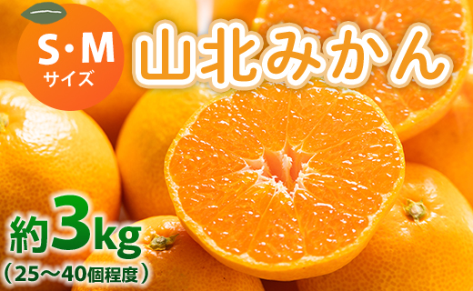 山北みかん (S,Mサイズ) 3kg 秀品 約25～40個入り 甘い - 果物 フルーツ 柑橘類 温州みかん ミカン 蜜柑 甘い おいしい 美味しい 山北みらい 高知県 香南市 yk-0066