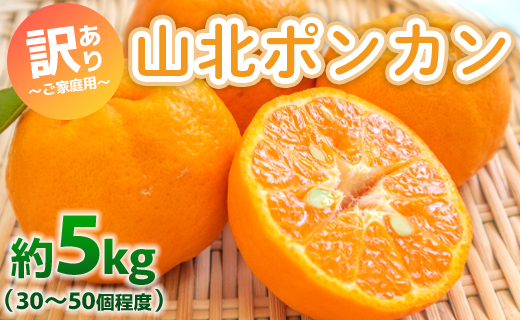 ぽんかん 5kg(約30～50個程度) わけあり 山北ポンカン - 果物 フルーツ 柑橘類 ぽんかん ミカン 蜜柑 訳アリ わけあり 生産者応援 甘い おいしい 美味しい 山北みらい 高知県 香南市 yk-0067