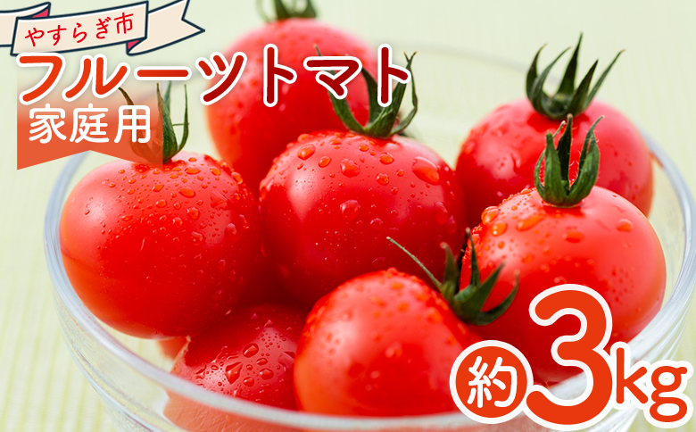 【2026年1月以降発送】フルーツトマト 3ｋｇ 家庭用 yr-0068