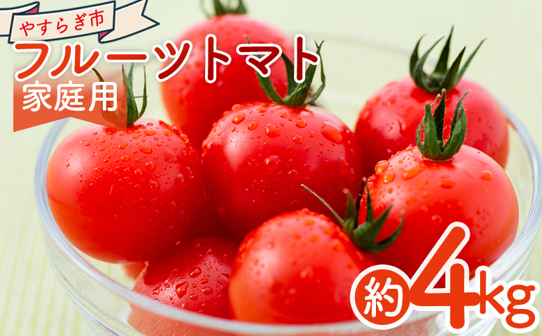 【2026年1月以降発送】フルーツトマト ４ｋｇ 家庭用 yr-0069