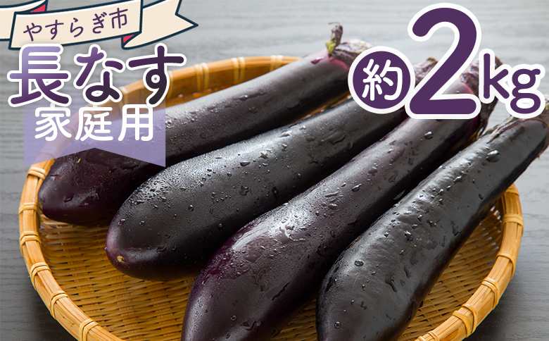 【2025年10月中旬以降発送】長なす 2ｋｇ 家庭用 yr-0071
