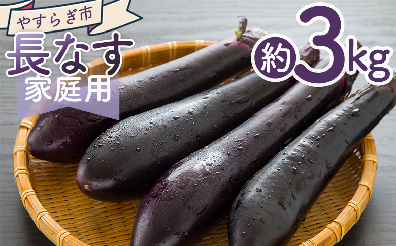 【2025年10月中旬以降発送】長なす ３ｋｇ 家庭用 yr-0072