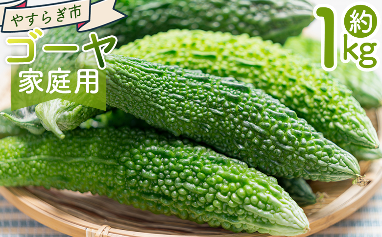 【2025年10月以降発送】ゴーヤ １ｋｇ 家庭用 yr-0073