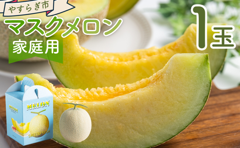 【令和8年3月発送開始】マスクメロン １玉 家庭用 yr-0088