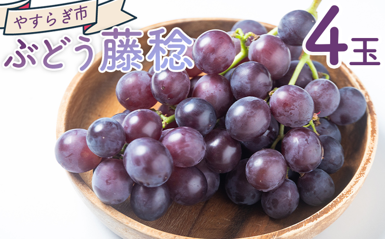 ぶどう 藤稔 4P yr-0099
