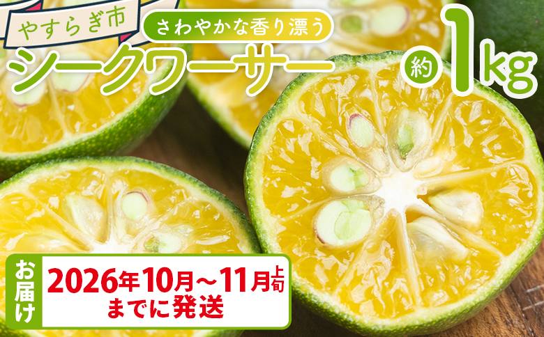 さわやかな香り漂うシークワーサー 1kg yr-0106