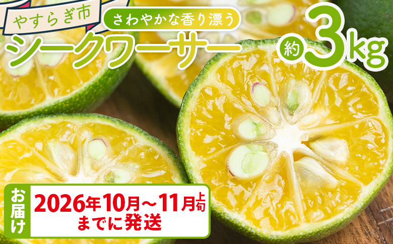 さわやかな香り漂うシークワーサー 3kg yr-0108