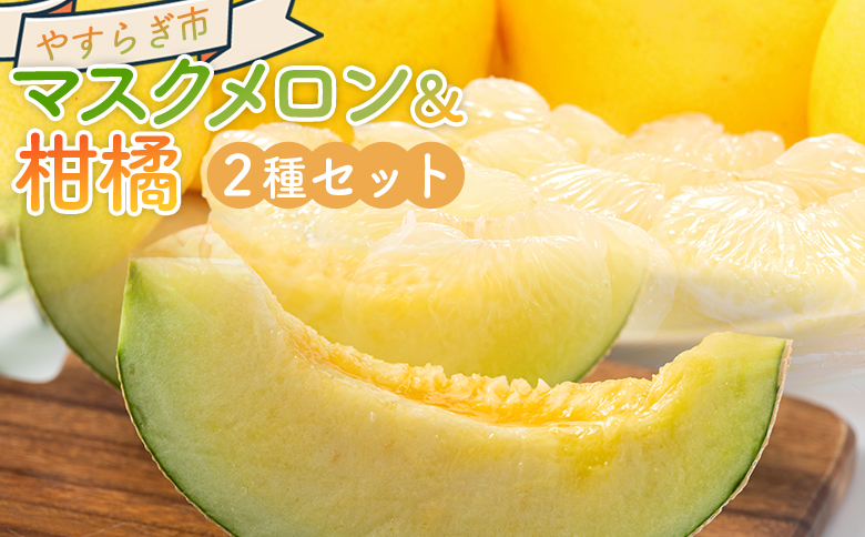 マスクメロン&柑橘2種セット yr-0111