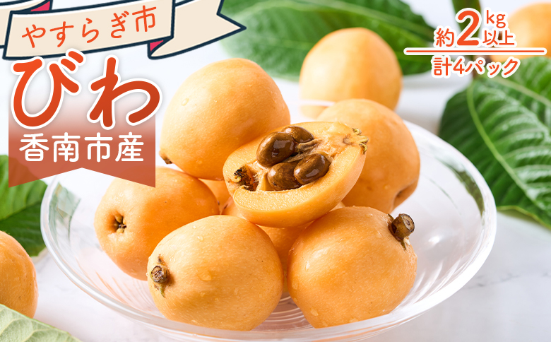 びわ ４パック 約2000ｇ （1パックあたり10～15個入） 香南市産 yr-0117