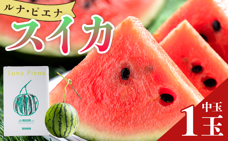 【ブランドスイカ】ルナ・ピエナスイカ（中玉） 1玉 【発送開始】「今夜はナゾトレ」に取り上げられました！ yu-0014 1玉 中玉