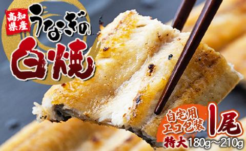 吉川水産 高知県産うなぎの白焼特大サイズ(180～210g)×1尾 タレ付き 自宅用エコ包装 yw-0042