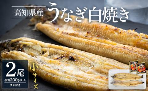 吉川水産 高知県産うなぎの白焼き 小サイズ(100～120g)×2尾 タレ付き yw-0043 2尾 100～120g
