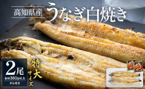 吉川水産 高知県産うなぎの白焼き 特大サイズ(180～210g)×2尾 タレ付き yw-0044 3尾 100～120g