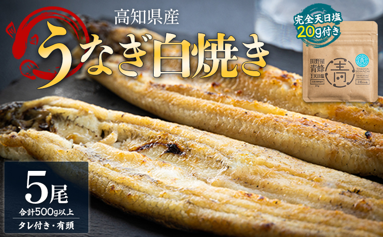 国産うなぎ 高知県産 白焼き 5尾(100～110g×5尾) 合計500g以上 田野町完全天日塩 20g付き 黒箱 yw-0086 5尾 100～110g