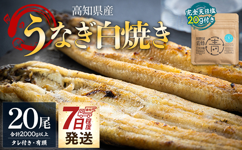 【7日程度で発送】国産うなぎ 高知県産 白焼き 20尾(100～110g×20尾) 合計2kg以上 田野町完全天日塩 20g付き 黒箱 yw-0088 20尾 100～110g