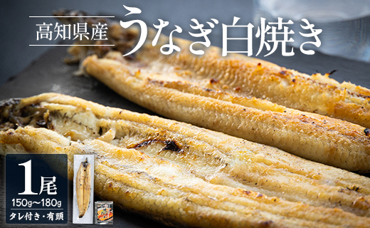 高知県産うなぎの白焼き 150～180ｇ×1尾 - エコ包装 国産 うなぎ 白焼き 鰻 冷凍 高知 yw-0113 1尾 150～180g