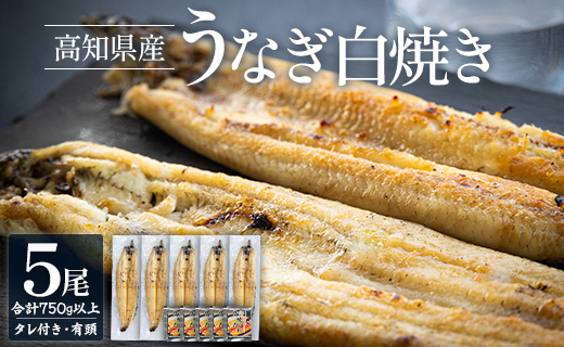 高知県産うなぎの白焼き 150～180ｇ×5尾 yw-0117 5尾（簡易包装） 150～180g