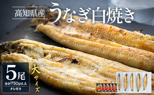 吉川水産 高知県産うなぎの白焼き 大サイズ(150～180g)×5尾 yw-0124 5尾（箱入り） 150～180g