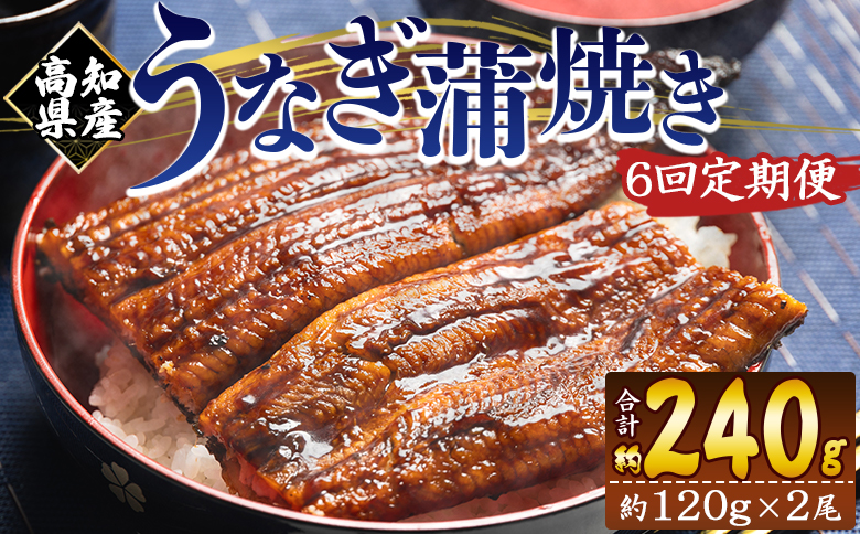 【６回定期便】高知県産養殖うなぎ蒲焼き 100～120g 2尾 Wfb-0039