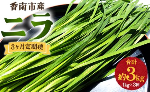 3ヶ月定期便 香南市産 ニラ 合計約3kg(1kg×3回)- にら 韮 香味野菜 やさい 葉物 新鮮 生 料理 もつ鍋 餃子 饅頭 キムチ チヂミ 炒め物 おひたし 直送 国産 肉厚 Won-0015