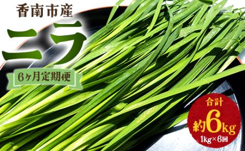 6ヶ月定期便 香南市産 ニラ 合計約6kg(1kg×6回)- にら 韮 香味野菜 やさい 葉物 新鮮 生 料理 もつ鍋 餃子 饅頭 キムチ チヂミ 炒め物 おひたし 直送 国産 肉厚 Won-0016