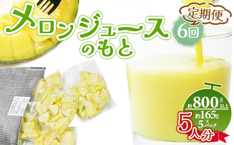 [6回定期便]メロンジュースのもと 約800g 約165g×5パック Wtn-0035