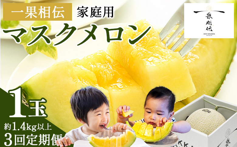 【３回定期便】一果相伝マスクメロン 家庭用 1玉入り Wtn-0038