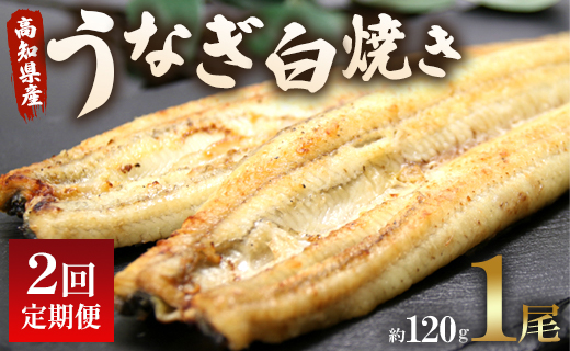 [2回定期便]うなぎ屋きた本 うなぎ白焼き120g 1尾(無頭) Wun-0031