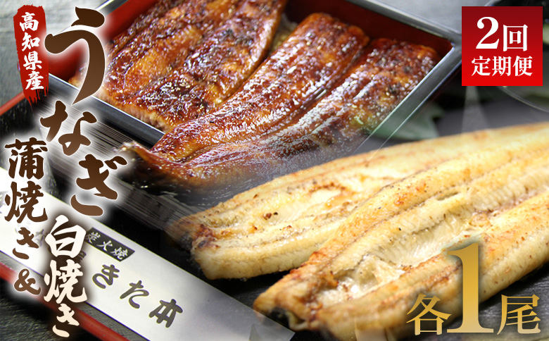 うなぎ 定期便 2回 うなぎ 蒲焼き 白焼き セット 120g 各1尾(無頭) Wun-0051