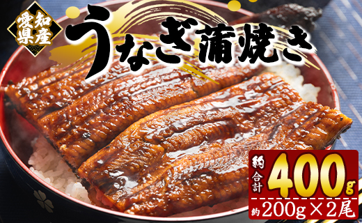 うなぎ蒲焼き 2尾(合計約400g) うなぎ うなぎ うなぎ うなぎ うなぎ うなぎ うなぎ うなぎ うなぎ うなぎ うなぎ うなぎ うなぎ うなぎ うなぎ うなぎ うなぎ うなぎ うなぎ うなぎ うなぎ うなぎ うなぎ うなぎ うなぎ うなぎ うなぎ うなぎ うなぎ うなぎ うなぎ うなぎ うなぎ うなぎ うなぎ うなぎ うなぎ うなぎ うなぎ うなぎ うなぎ うなぎ うなぎ うなぎ うなぎ