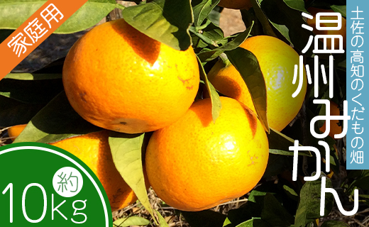 土佐の高知のくだもの畑 みかん(家庭用)10kg(5kg箱×2) - 温州みかん ミカン 訳アリ わけあり 蜜柑 ミカン 柑橘 柑橘類 フルーツ 果物 くだもの ご家庭用 ご自宅 美味しい おいしい kd-0027