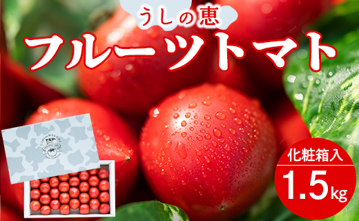 [数量限定]うしの恵 フルーツトマト 化粧箱入り 約1.5kg - 野菜 とまと 産地直送 2025年発送 令和7年 料理 アレンジ サラダ 鍋 サンドイッチ 完熟 甘い あまい フレッシュ さっぱり 酸味 ギフト 贈答 お礼 御礼 おいしい 国産 高知県 香南市 mj-0013