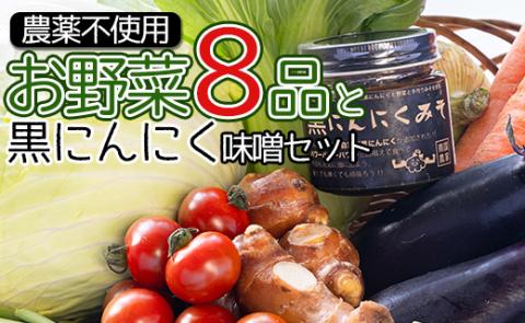 農薬不使用のお野菜8品と黒にんにく味噌のセット - やさい 8種類 ニンニク みそ ミソ ご飯のお供 おかず 調味料 お任せ おたのしみ 旬 季節品 国産 特産品 高知県 香南市 pr-0012